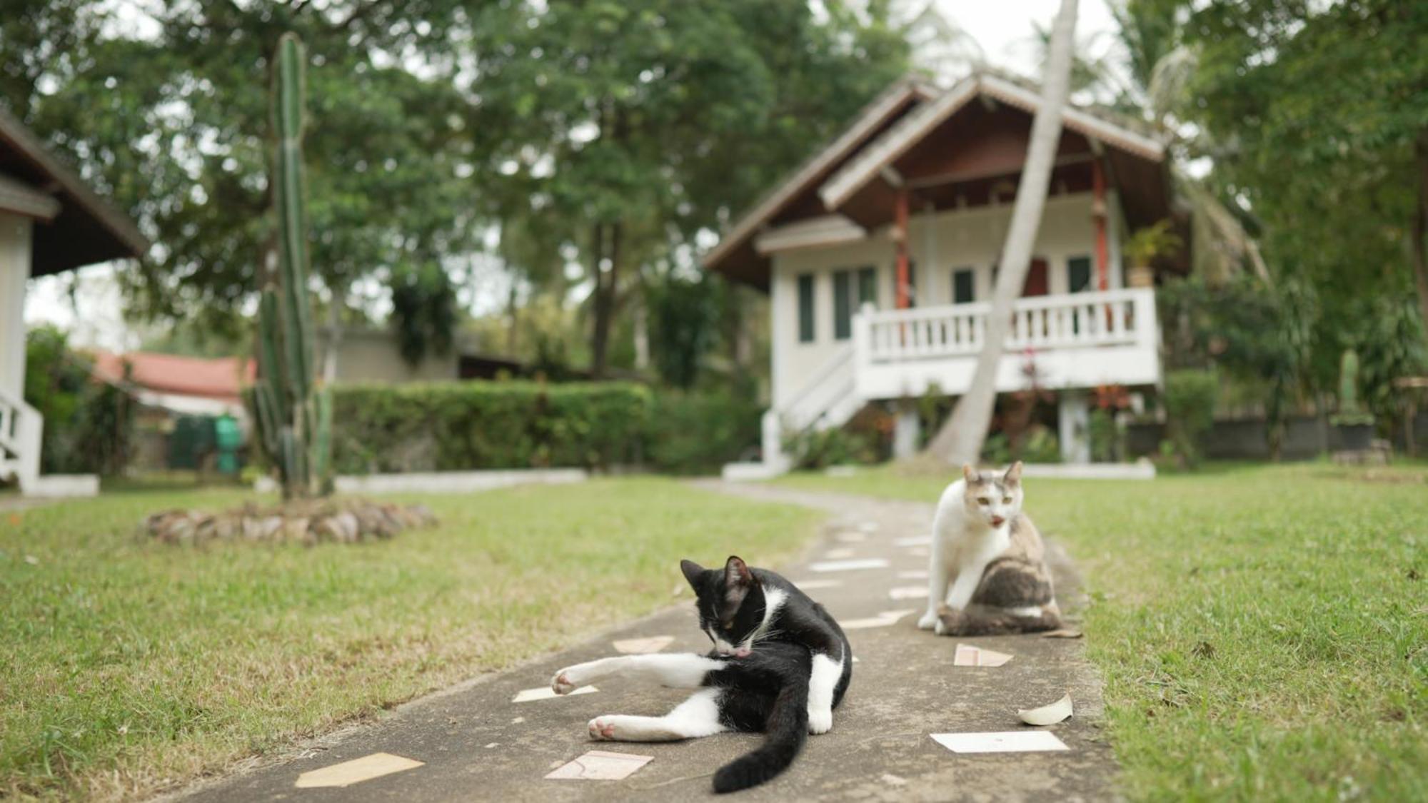 My Home Resort - Koh Phangan Vacation House Rentals Ban Madua Wan 외부 사진